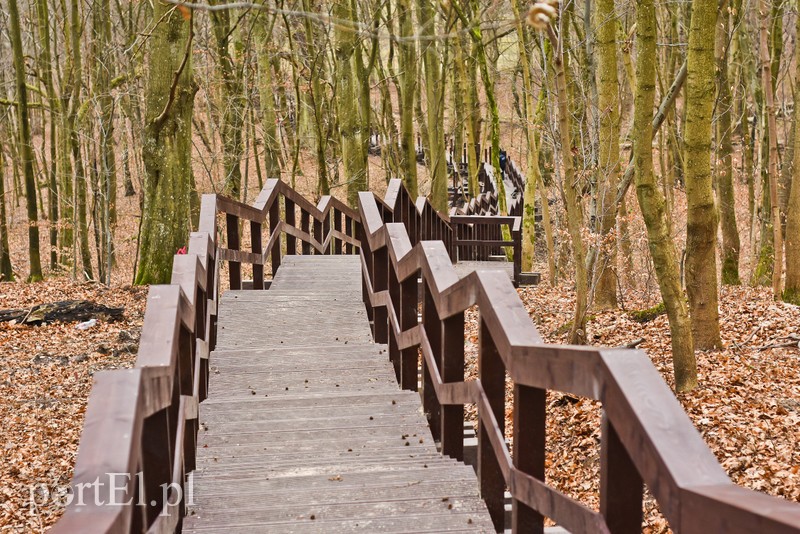 Nowe atrakcje na starej ścieżce zdjęcie nr 219887