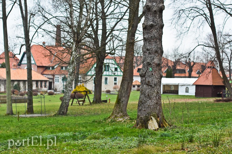 Nowe atrakcje na starej ścieżce zdjęcie nr 219874