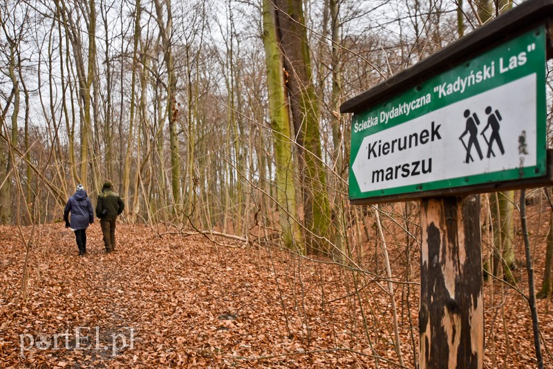Nowe atrakcje na starej ścieżce zdjęcie nr 219879
