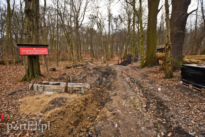Nowe atrakcje na starej ścieżce zdjęcie nr 219871