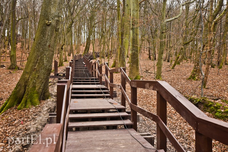 Nowe atrakcje na starej ścieżce zdjęcie nr 219882