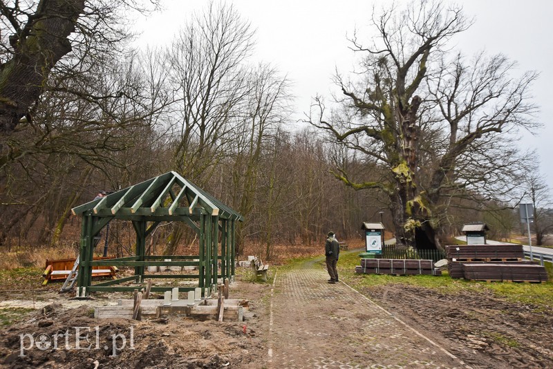 Elbląg Nowe atrakcje na starej ścieżce