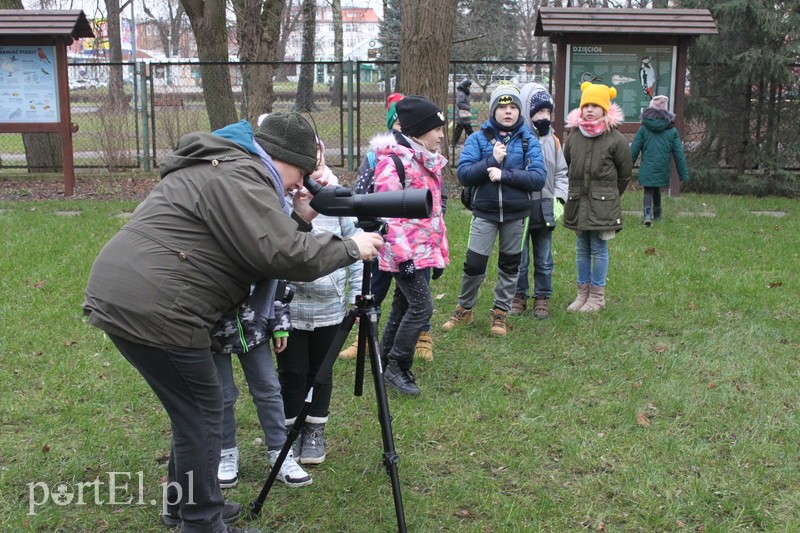 Wielkie liczenie ptaków zdjęcie nr 219895