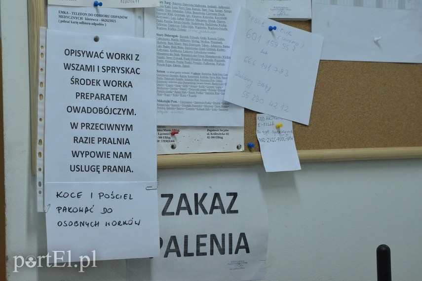 Pracownicy pogotowia socjalnego: „Chcą nas zamknąć z zemsty” zdjęcie nr 222933