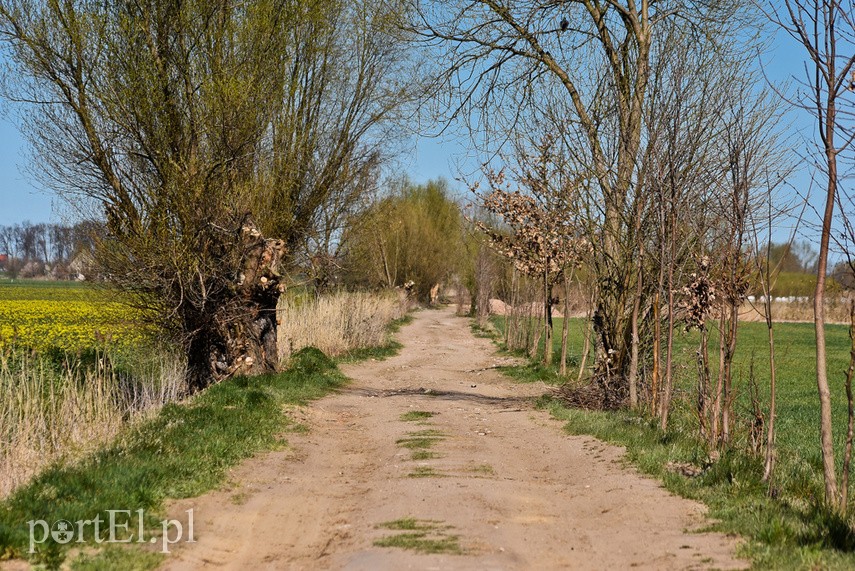 Żeby tylko nie padało zdjęcie nr 223170