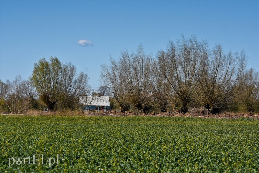 Żeby tylko nie padało zdjęcie nr 223161