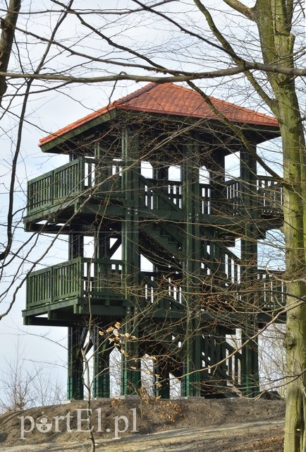 Elbląg Spacerem po Parku Krajobrazowym Wysoczyzny Elbląskiej