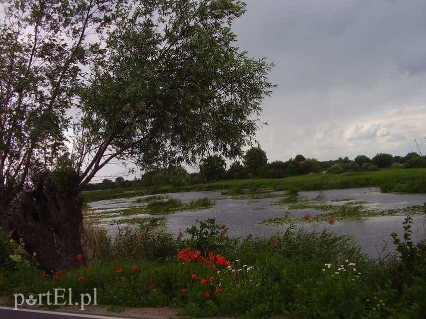 Elbląg Wycieczka rowerowa na Kępę Rybackę