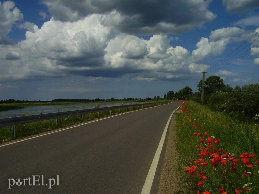 Wycieczka rowerowa na Kępę Rybackę zdjęcie nr 224153