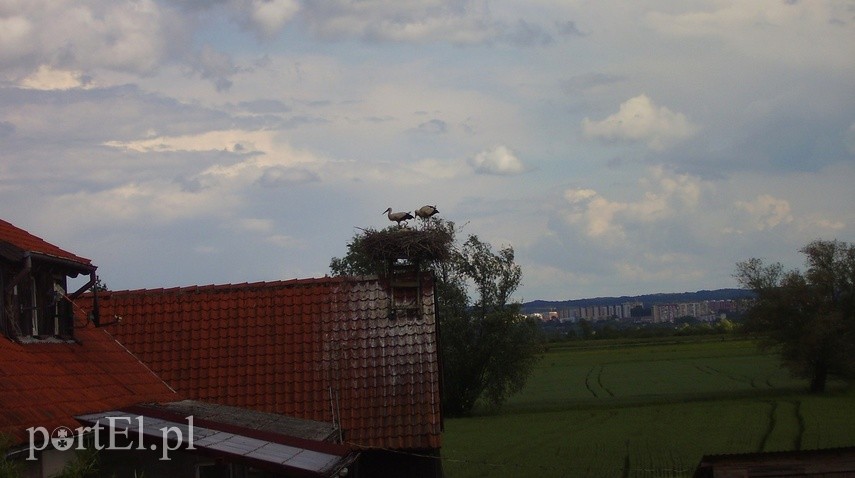 Wycieczka rowerowa na Kępę Rybackę zdjęcie nr 224155