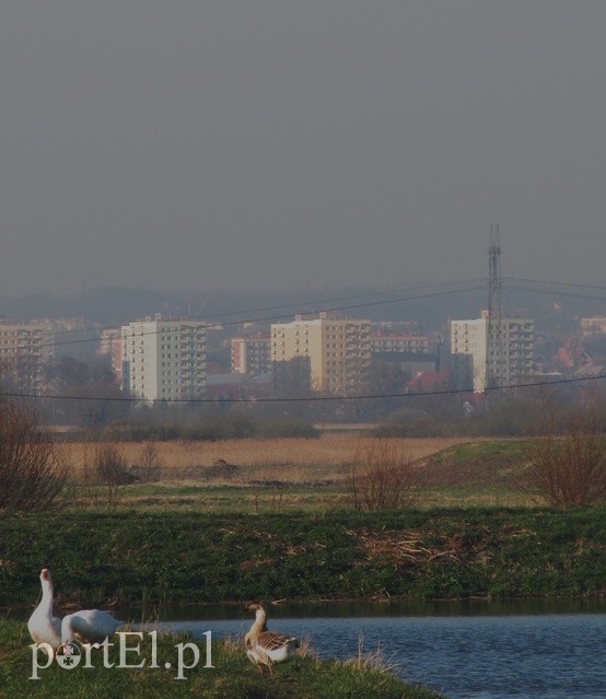 Wycieczka rowerowa na Kępę Rybackę zdjęcie nr 224158