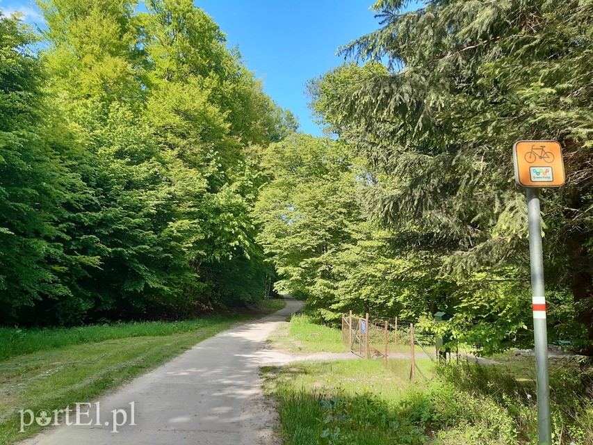 Wycieczka rowerowa do Jagodnika zdjęcie nr 224430