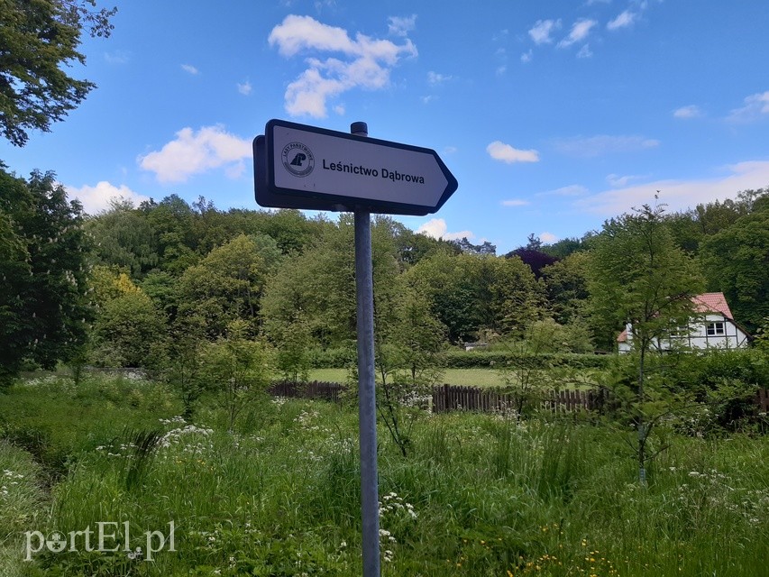 Elbląg Wycieczka rowerowa do Jagodnika