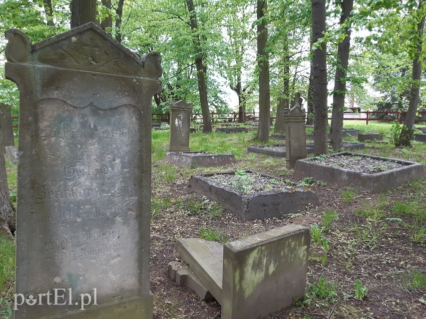 Elbląg Wycieczka rowerowa po Żuławach Elbląskich