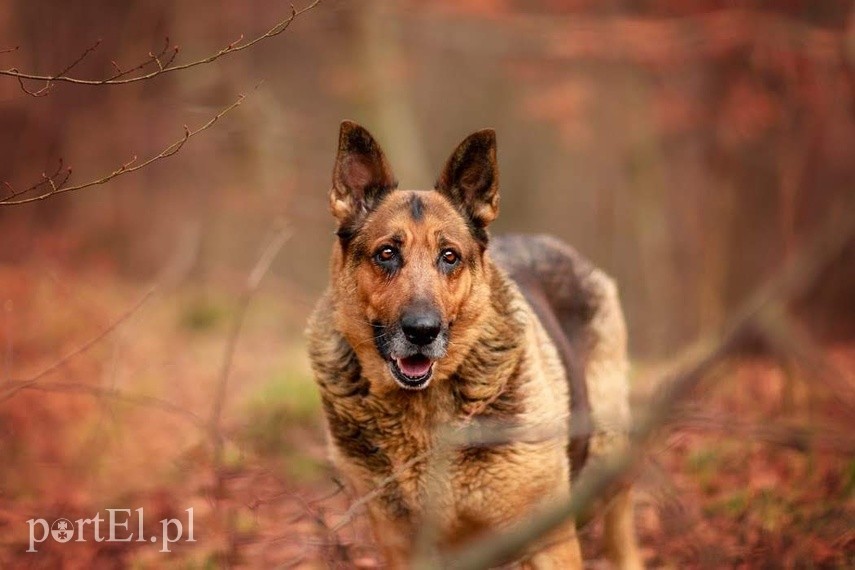 Elbląg Galeria pod psem i kotem - odcinek 104