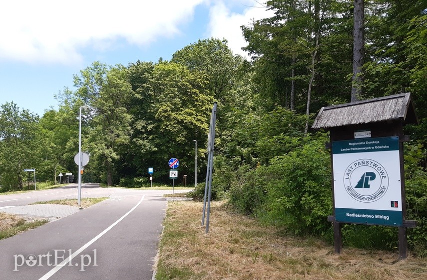 Elbląg Wycieczka rowerowa Pagórki, Łęcze