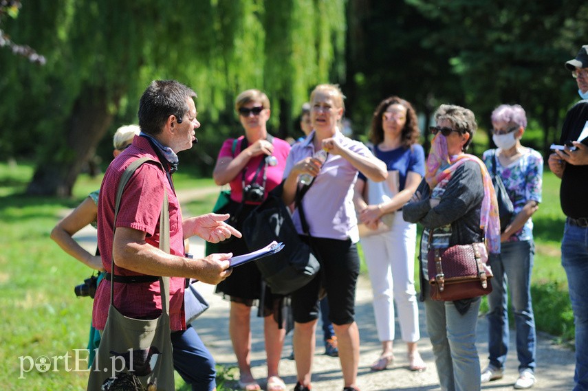 Kim byli twórcy elbląskich form przestrzennych? zdjęcie nr 225861