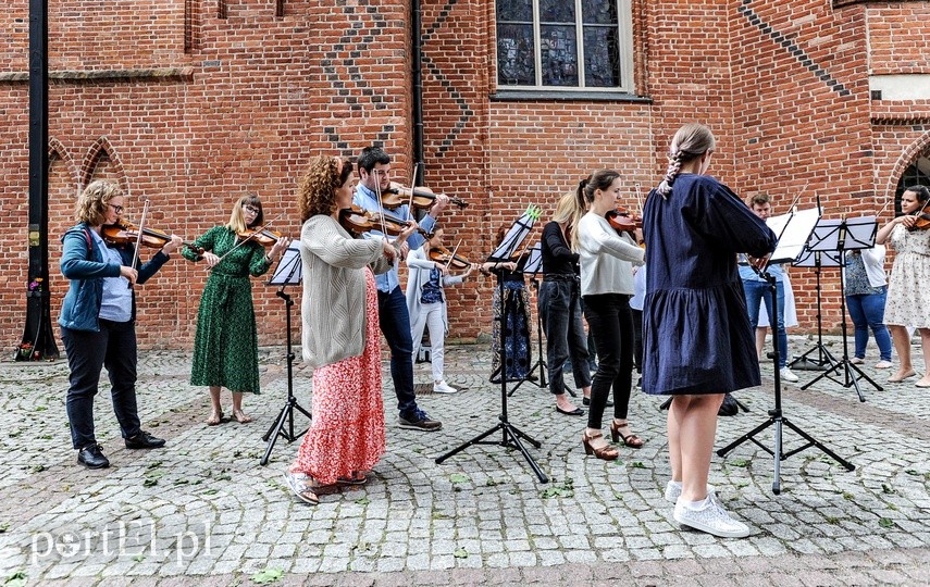 Orkiestra wyszła do ludzi zdjęcie nr 226112