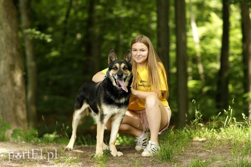 Galeria pod psem i kotem - odcinek 108 zdjęcie nr 226237