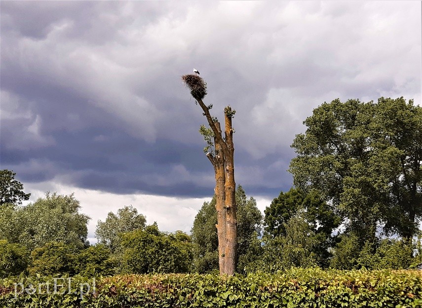 Wycieczka rowerowa - śluza Michałowo zdjęcie nr 226460