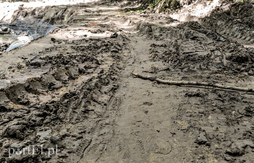 Umacniają brzegi Srebrnego Potoku zdjęcie nr 226560