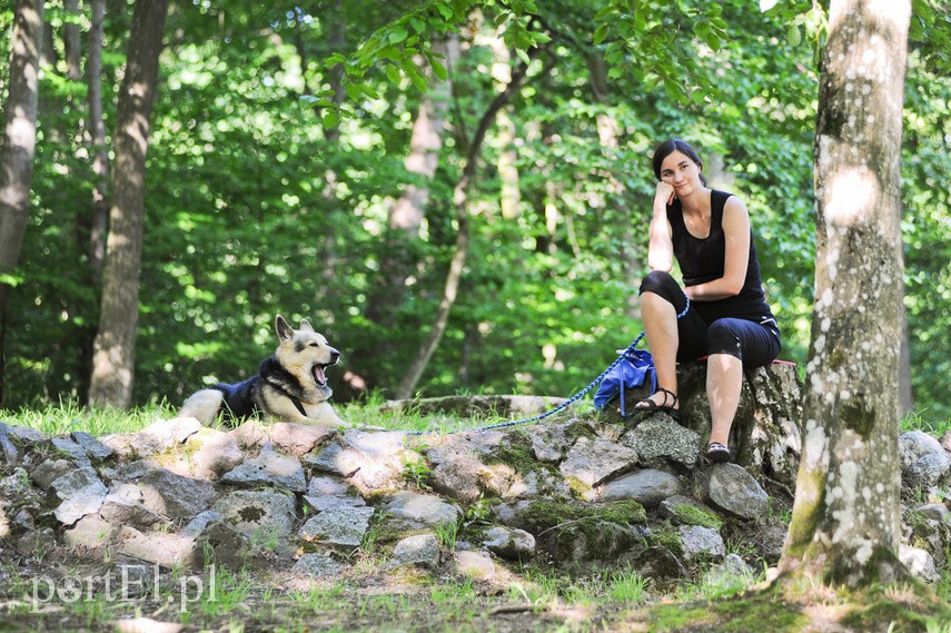 Letni Salon Muzyczny zdjęcie nr 226852