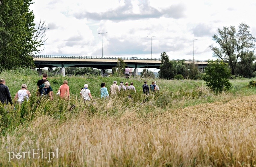 Na prawo most, na lewo most, a dołem Elbląg płynie zdjęcie nr 227045