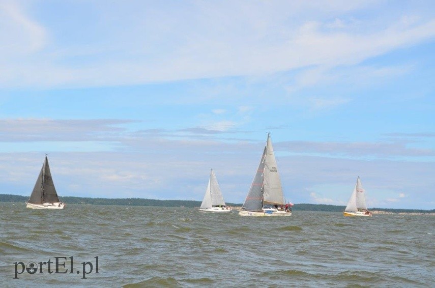 Elbląg Litwinka z pucharem króla