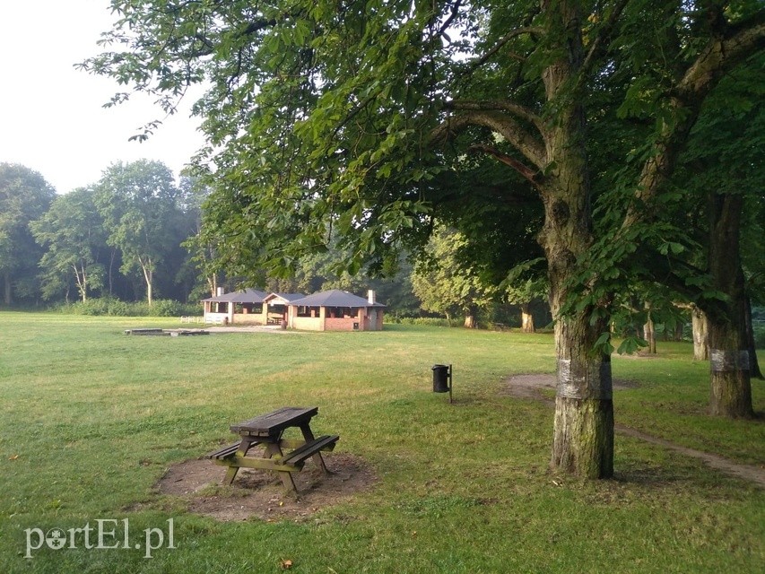 Elbląg Na rower z portEl.pl: Do wioski Smerfów