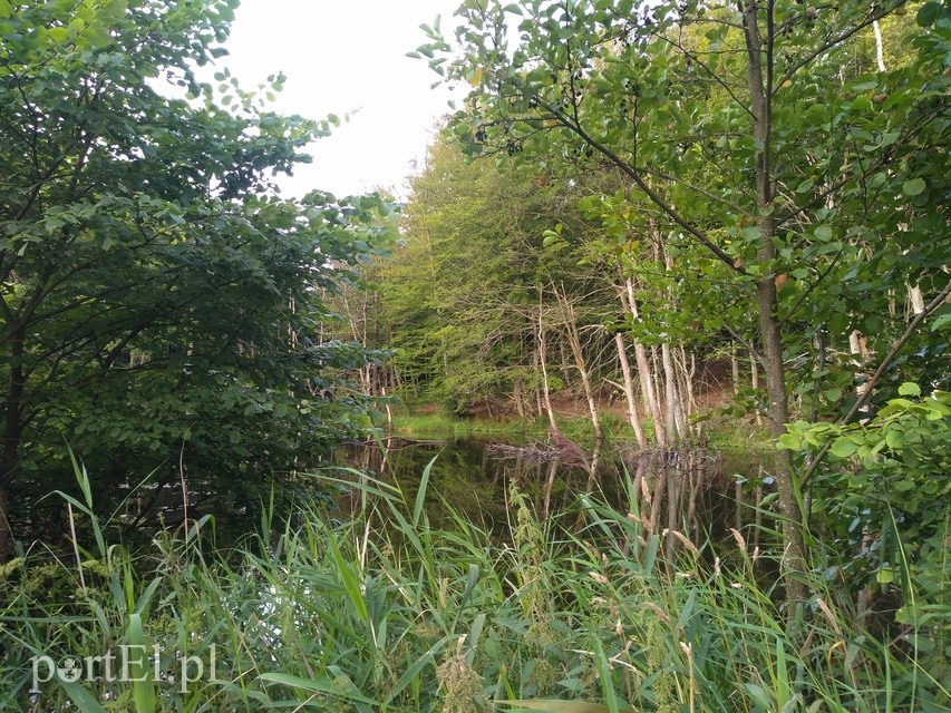 Na rower z portEl.pl: Do Jeleniej Doliny  zdjęcie nr 227830