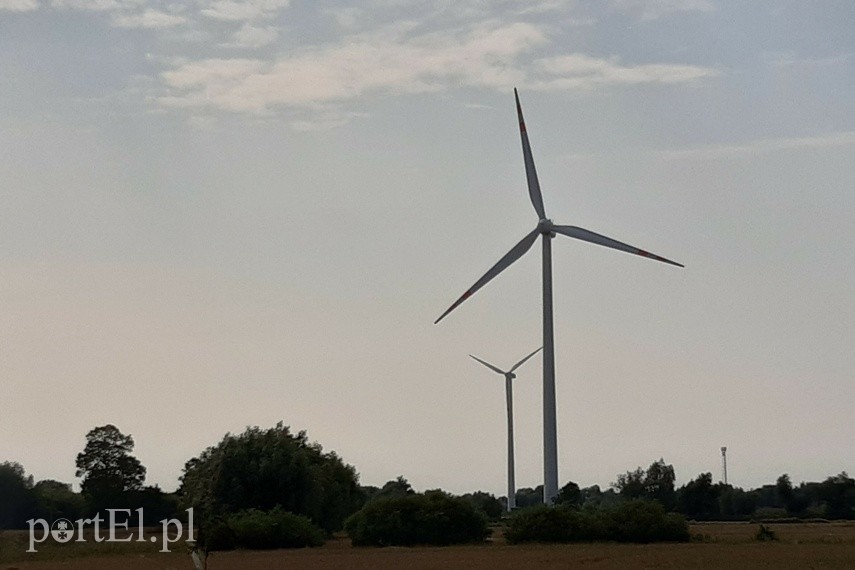 Na rower z portEl.pl: Nad Nogat zdjęcie nr 227973