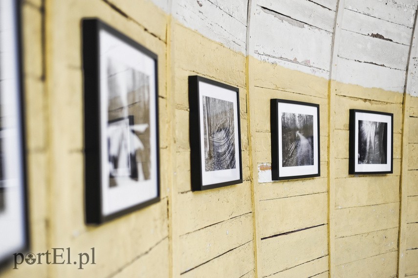 Las okiem obiektywu zdjęcie nr 229082