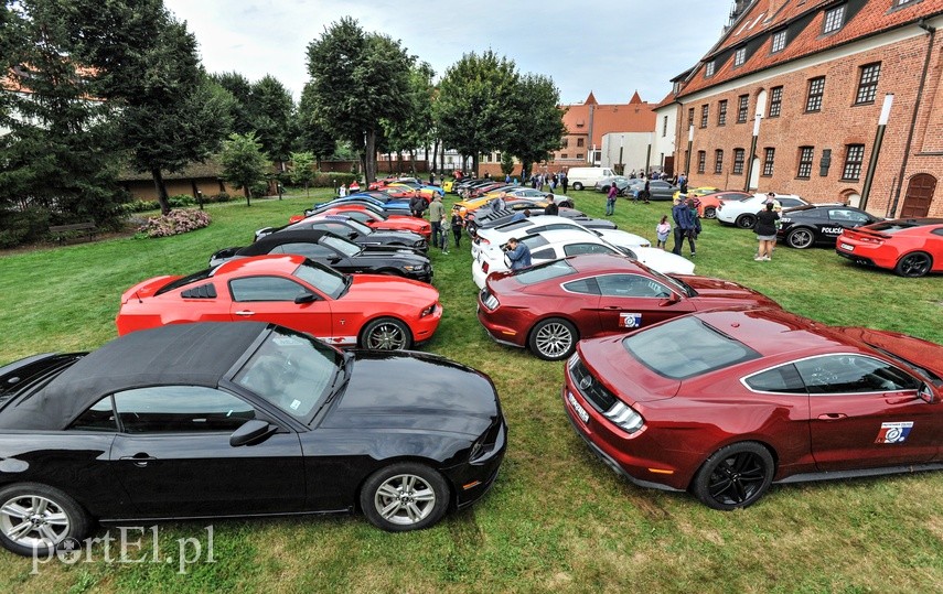 Elbląg Mustangi zaparkowały na dziedzińcu muzeum