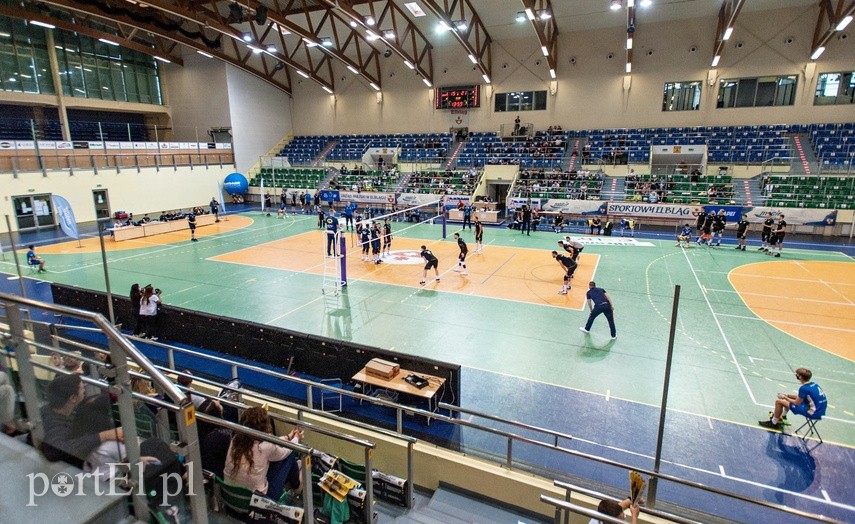 Gdańskie Lwy pokonane po raz drugi zdjęcie nr 229627