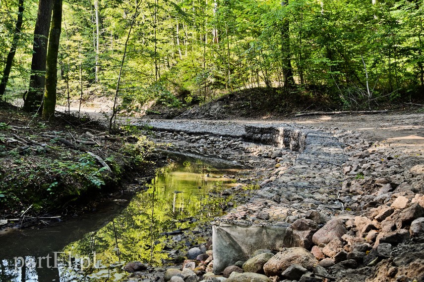 Remont szlaku czerwonego na finiszu zdjęcie nr 230686