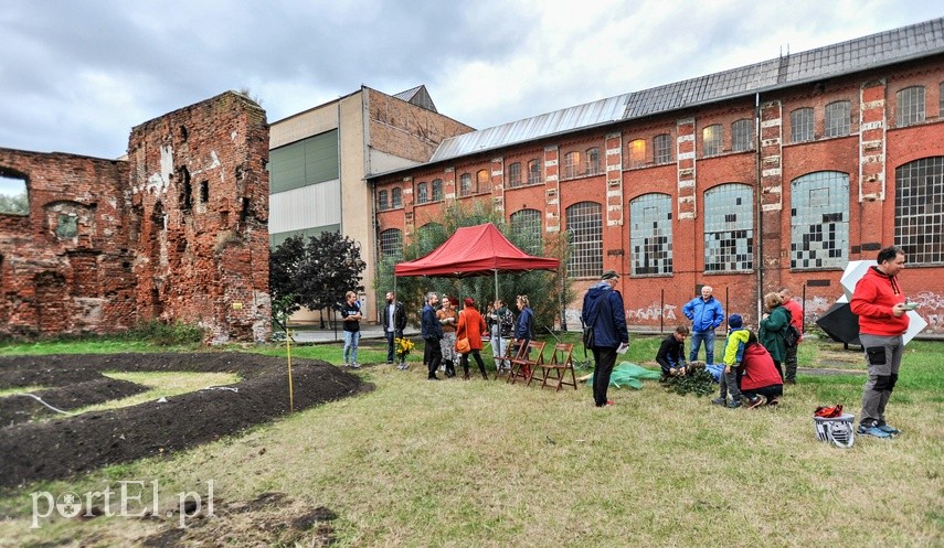 Elbląg Jeśli na jabłka... to tylko do Galerii EL