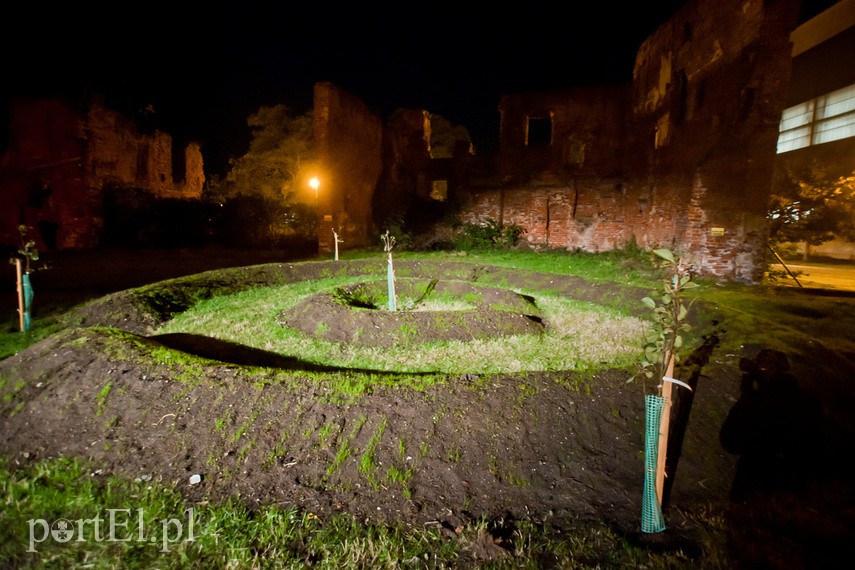 W galerii wyrosły ogrody i warto je odwiedzić zdjęcie nr 231674