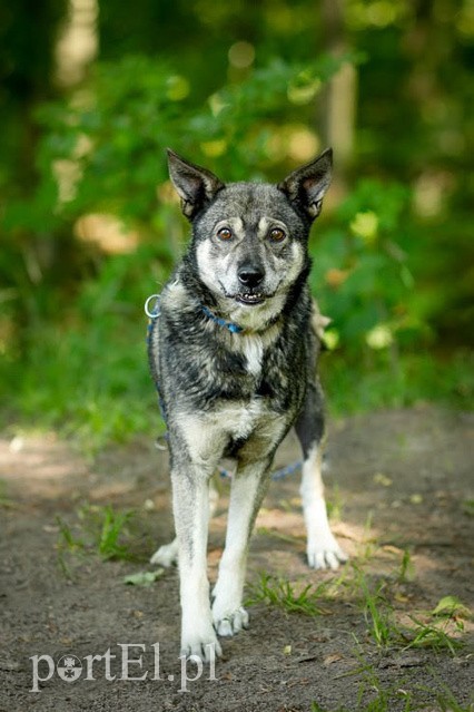 Elbląg Galeria pod psem i kotem - odcinek 129