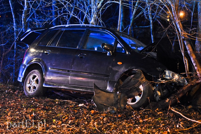 Usterka pojazdu doprowadziła do uderzenia w drzewo zdjęcie nr 234585