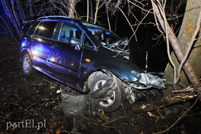 Usterka pojazdu doprowadziła do uderzenia w drzewo zdjęcie nr 234587
