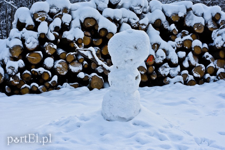 Elbląg Zimowa armia bałwanów