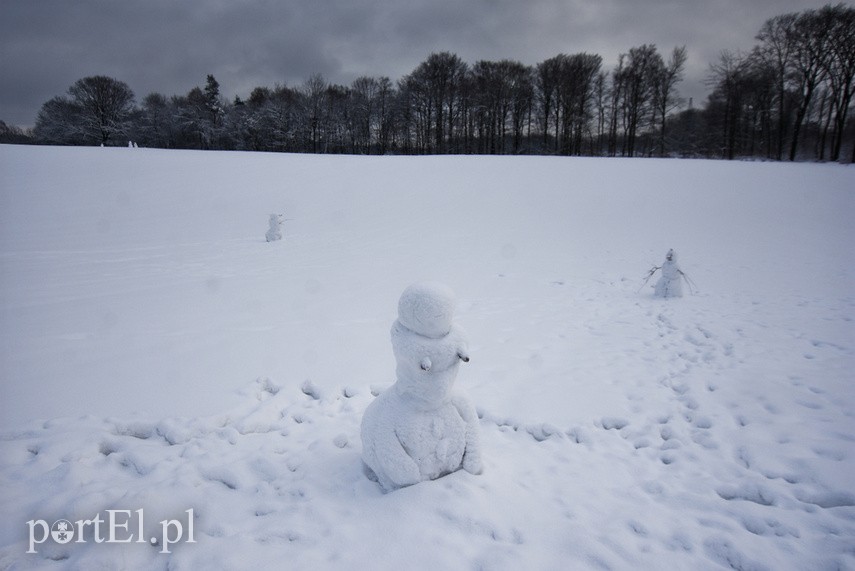Zimowa armia bałwanów zdjęcie nr 234652