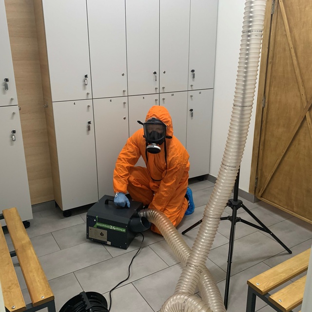 Elbląg Profesjonalna dezynfekcja w Elblągu