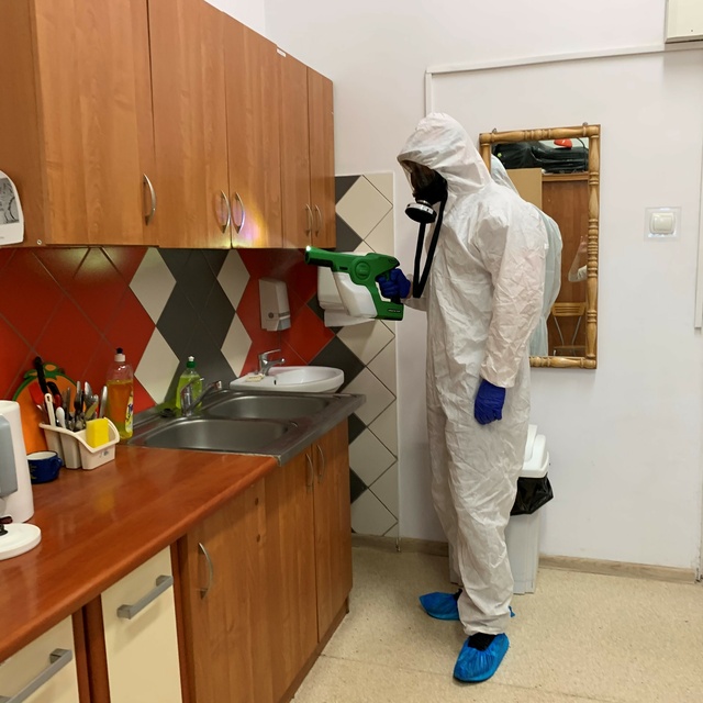 Profesjonalna dezynfekcja w Elblągu zdjęcie nr 235172