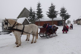 Przedszkolaki z Dwujęzycznego Niepublicznego Przedszkola „Mieszko I” programują roboty Photon!
