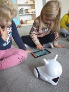 Przedszkolaki z Dwujęzycznego Niepublicznego Przedszkola „Mieszko I” programują roboty Photon!