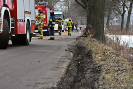 54-latek uderzył renault w drzewo
