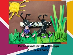 Konkurs Mrówka w Szkole Podstawowej nr 25