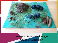 Konkurs Mrówka w Szkole Podstawowej nr 25