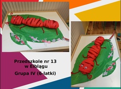 Konkurs Mrówka w Szkole Podstawowej nr 25